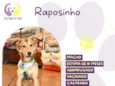 Raposinho