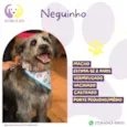 Neguinho
