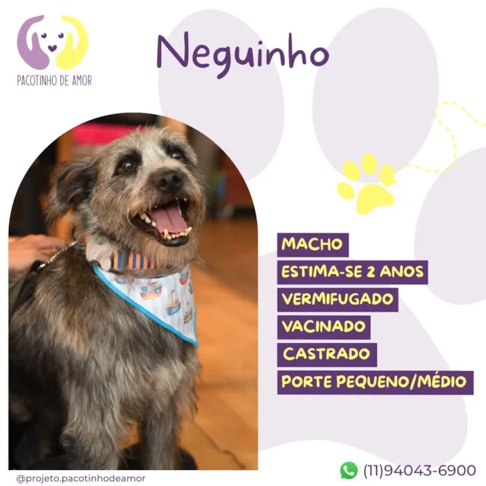 Cachorro raça SRD-ViraLata idade 2 anos nome Neguinho