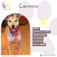 Carmela
