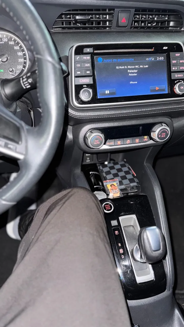 Gato raça SRD-ViraLata idade 1 ano nome Wolf