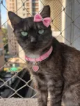 Esmeralda 
