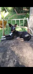 Vitória