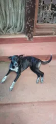 Vitória