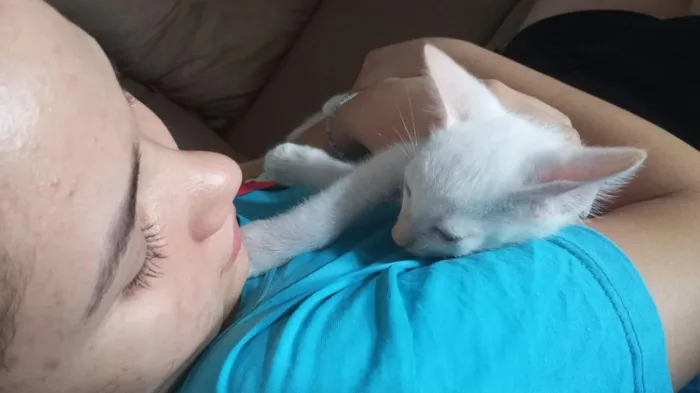 Gato raça SRD-ViraLata idade 2 a 6 meses nome Não tem nome ainda.