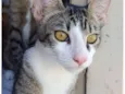 Gustavo 