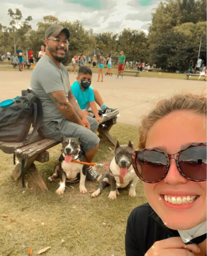 Cachorro raça Pit-Bull idade 3 anos nome Charlie