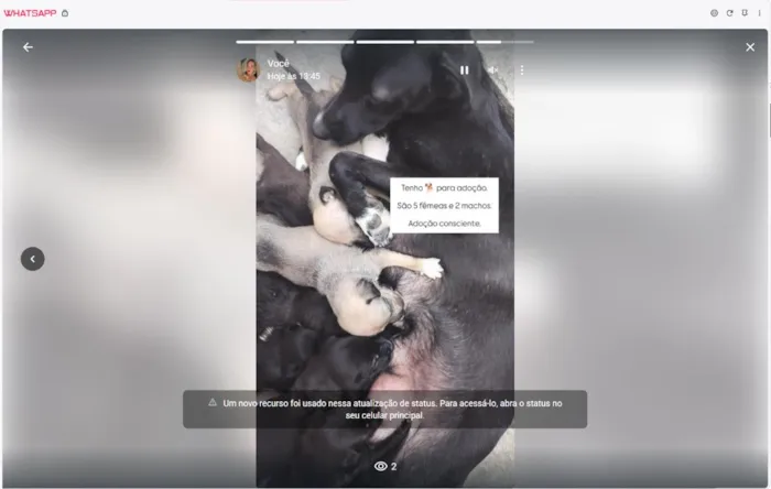 Cachorro raça SRD-ViraLata idade Abaixo de 2 meses nome Amigáveis.