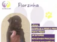 Florzinha