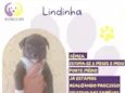 Lindinha