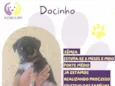 Docinho