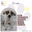 Frida