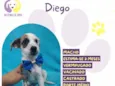 Diego