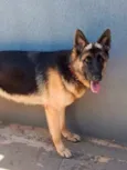 Mel