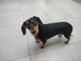 Rosita 