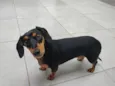 Rosita 