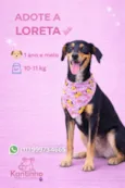 Loreta