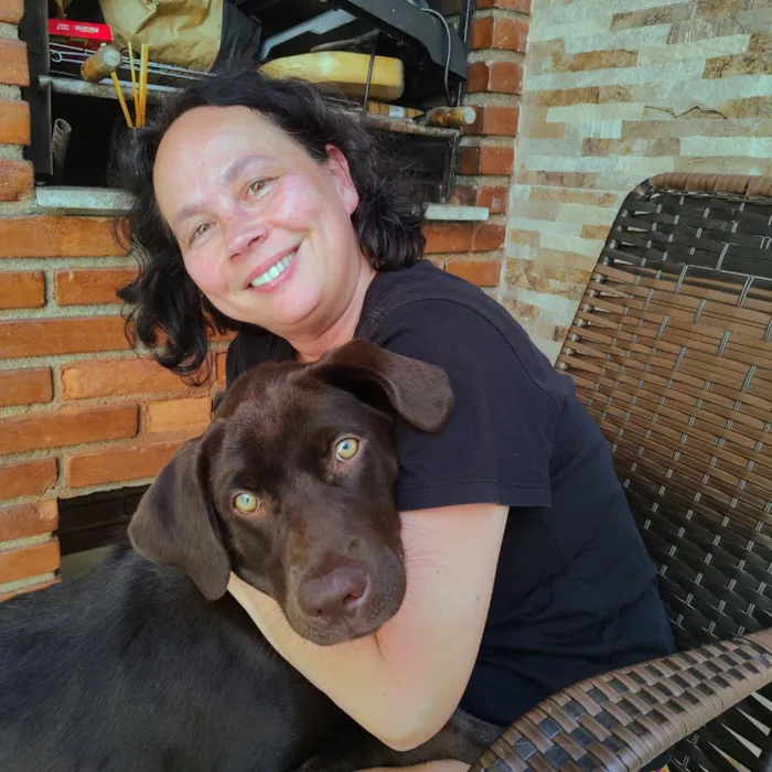 Cachorro raça Labrador idade 7 a 11 meses nome Sparky