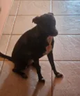 Poupée