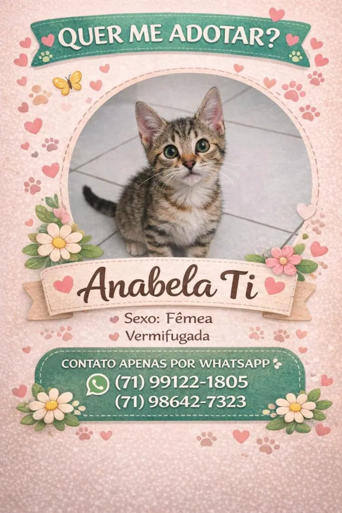 Gato raça SRD-ViraLata idade 2 a 6 meses nome Nomes nos cards