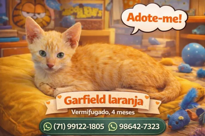 Gato raça SRD-ViraLata idade 2 a 6 meses nome Nomes nos cards