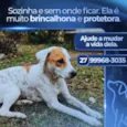 Branquela
