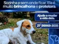 Branquela