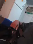 Pipoca