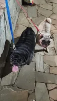 Bruce e Matilde