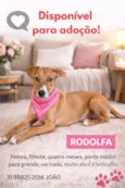 Rodolfa
