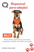 Billy