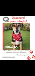 Rotivaldo