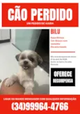 Bilu