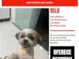 Bilu