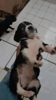 sem nome