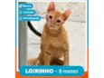 Loirinho