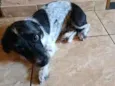 princesa 