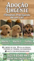 sem nome 