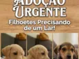 sem nome 