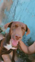 morena