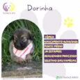 Dorinha