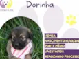 Dorinha