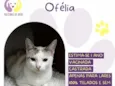 Ofélia