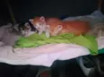 eles n tem nome 