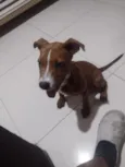 Isadora 