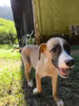Marley