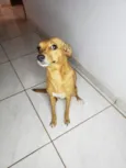 Princesa