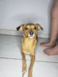 Princesa