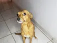 Princesa
