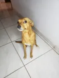 princesa 